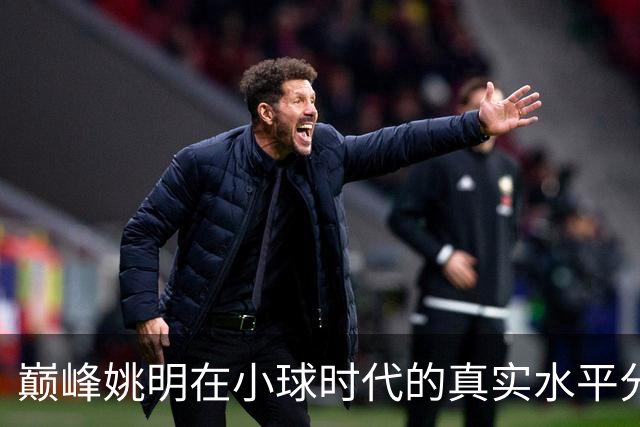 巅峰姚明在小球时代的真实水平分析