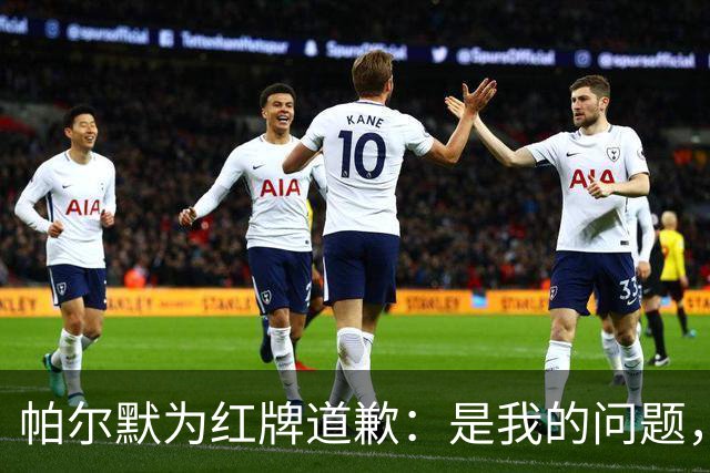 帕尔默为红牌道歉：是我的问题，会吸取教训