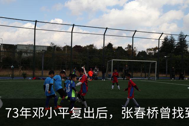 73年邓小平复出后，张春桥曾找到康生问：康老，67年讲话稿还在吗？